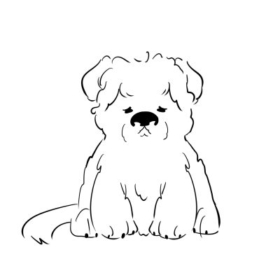 Bibi, boceto perro