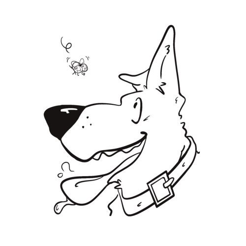 Kira